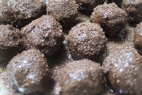 Vegan GF Truffles (Cacao) with Cacao Ganache at Urban Greenhouse in Panama City