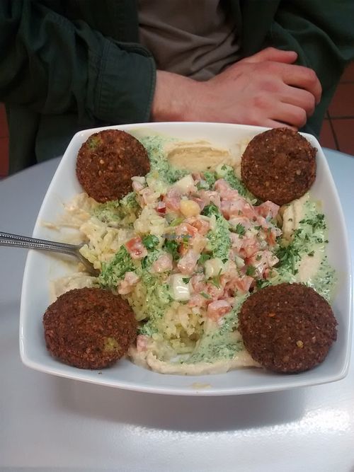 Hummus rice bowl with falafel! at House of Hummus - Elmwood in Buffalo
