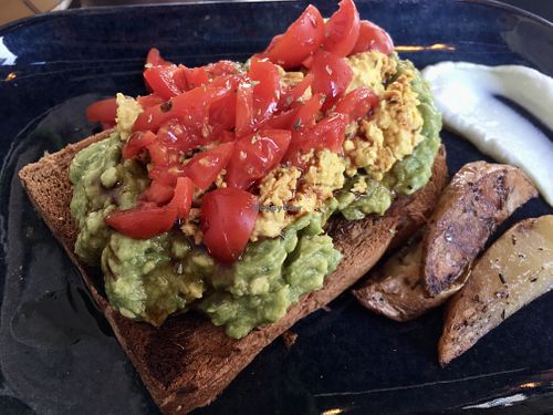 Avocado Toast  at Ziga in Verona