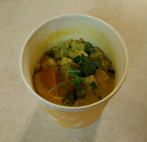 Vegan Thai Curry at Japhy's Soup and Noodles in Arcata