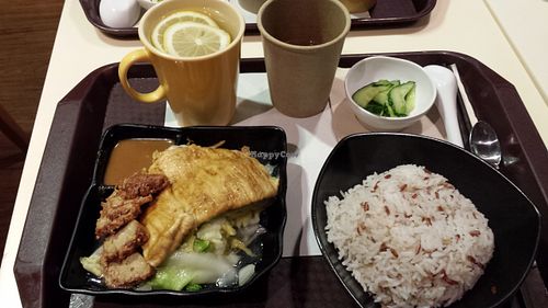 One of their yummy meals! at Loving Hut - Amoy Plaza in Kowloon