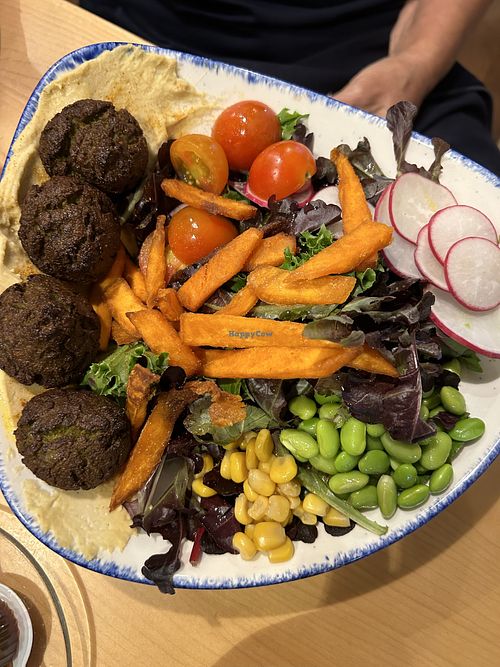 Falafel bowl   at Maiatza in San Sebastian