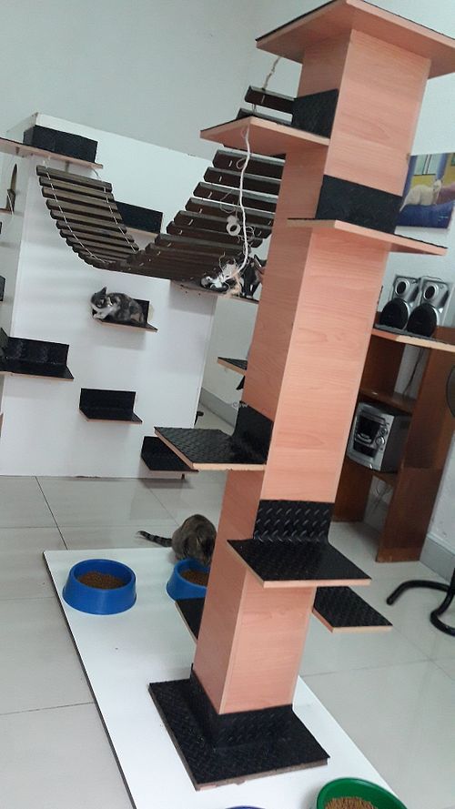 Gatoteca at Espacio ASH in Montevideo