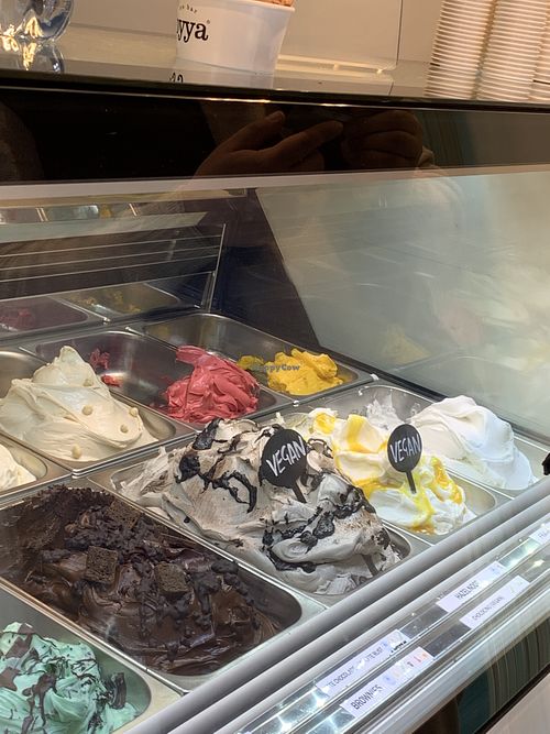 Selection at Oyya in Bruges