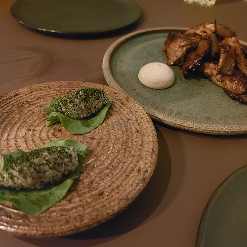 Blue oyster mushroom at Ark in Copenhagen