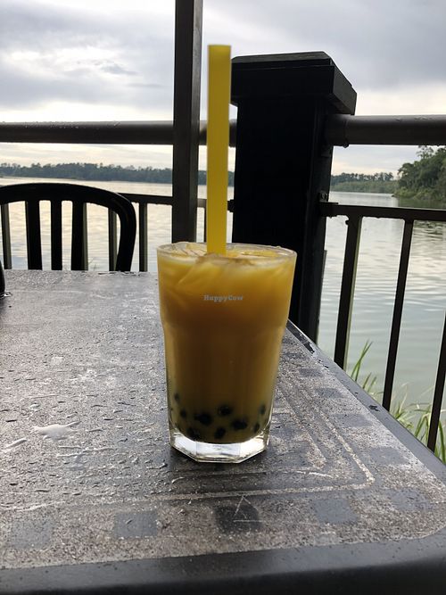 Bubble tea- view from deck at Chopstix Cafe in Gainesville