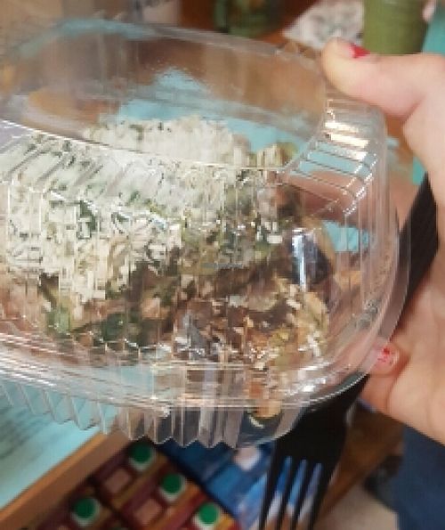 Raw lasagna, to go. Too big to fit in the container! at Simon's Coffee House in Sarasota