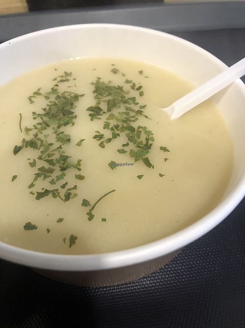 daily vegan soup at Organic Garden in Ljubljana