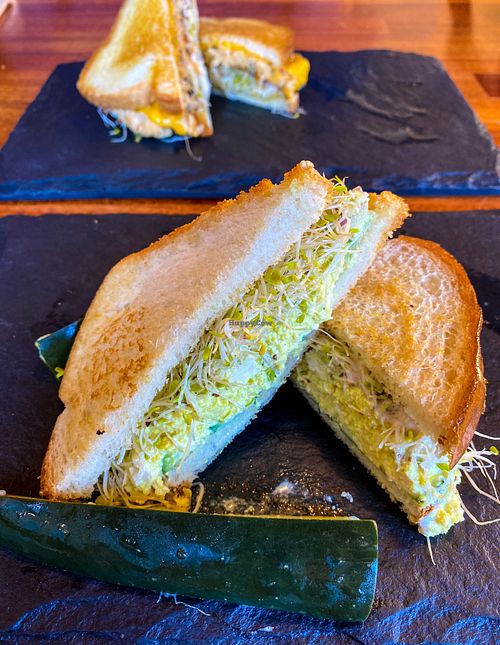 Egg Salad and Tuna Salad Sandwich  at Falcon Coffee Bar in Nashville
