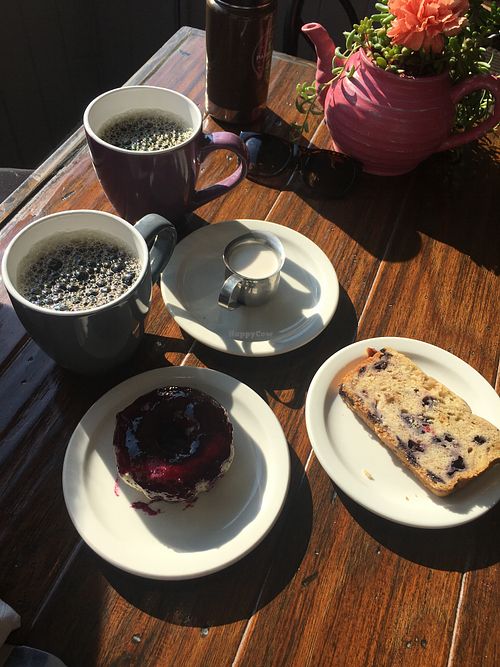 Vegan poppy seed muffin/donut. Vegan blueberry loaf. Coffee and almond milk at The Arcadian Kitchen in Vernon