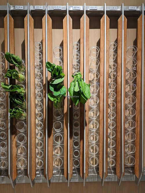 Don't miss the wall of greens at Vege Creek 蔬河 - 101 in Taipei