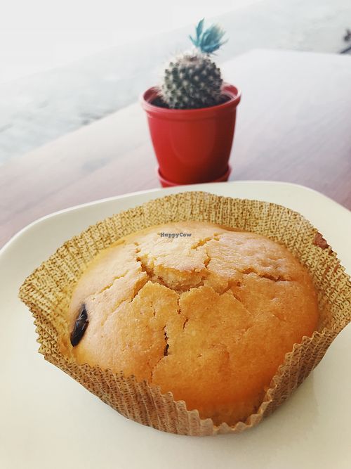 Cake  at Bitkisel Mutfak in Urla