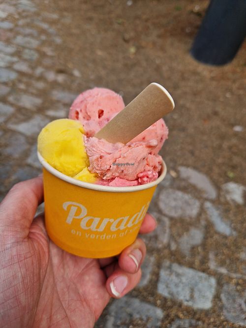  at Paradis  in Aalborg