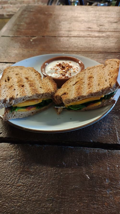 Cheese toastie with aioli at BACKYARD in Rotterdam