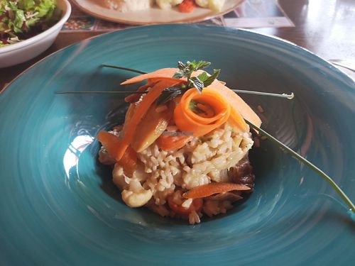 Mushroom risotto  at Gostilna Pezdirc in Semic