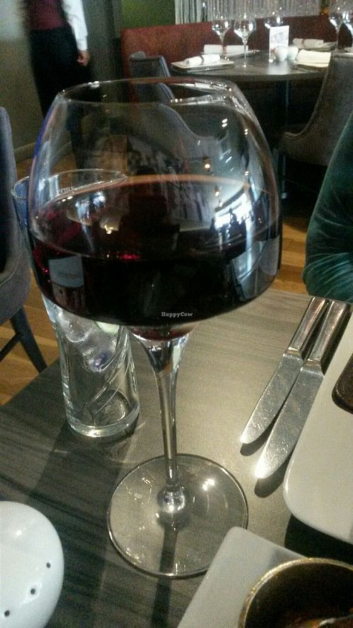 Vegan red wine at Zeera in South Shields