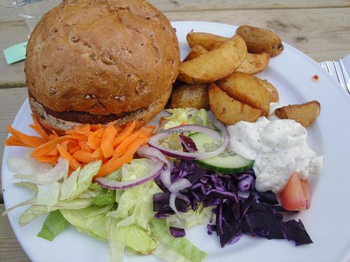 vegan burger with good potatoes at Sodermanna Vegetariska in Stockholm