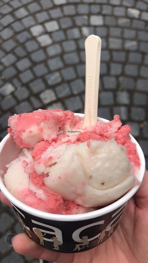 fit ice flavor  at Kavarna Cacao in Ljubljana