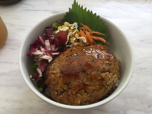 Locomocodon at Swell Bowls in Tokyo