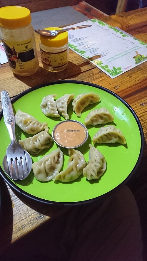 Vegan momo at Pourquoi Pas in Pokhara