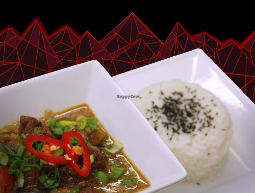 green curry served with rice at Push the Tempeh in St Petersburg