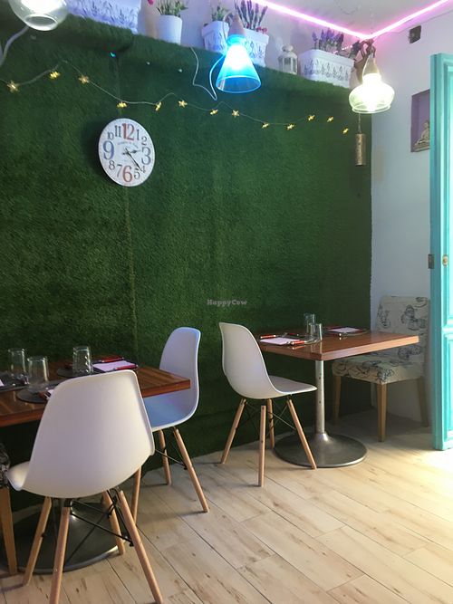 Relaxing and calming atmosphere  at Espacio Vegano in Granada