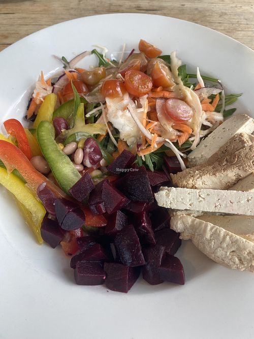 Vegan Buddha bowl  at The Blue Bird Cafe in Worthing