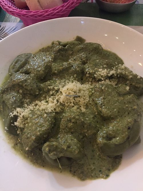 Spinach pasta stuffed with vegan cheese and mushrooms with pesto sauce  at Lazy Vegan in Santiago