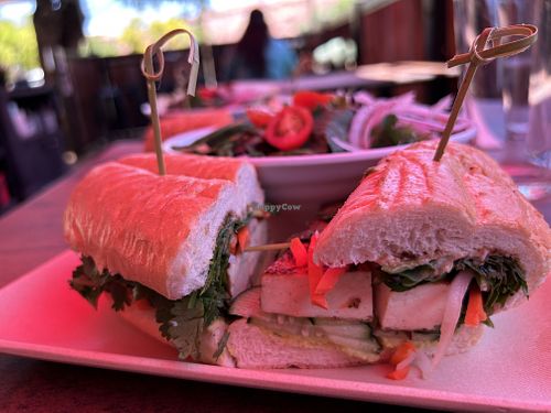 Vegan tofu banh mi   at 98 Center Moab in Moab