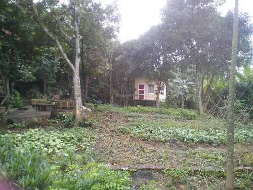 Mountain Bungalow at Dragon Boat Rock Homestay in Ninh Binh