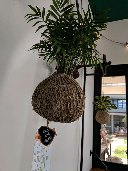 Plants for sale at Familiar in Casuarina