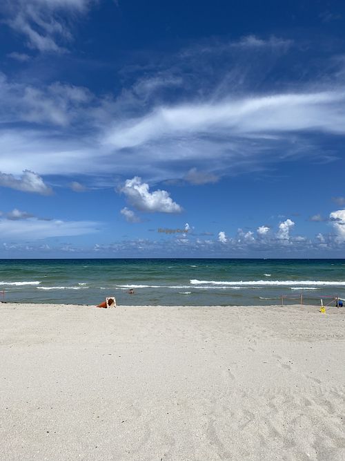 Right on the beach  at The Taco Joint in Hollywood