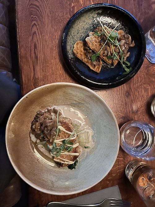 Tofu and miso, ginger steak with mushroom waffles (side dish)  at Zivago in Oulu