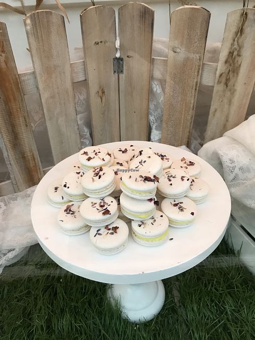 Krümelfee Macarons at Krümelfee in Potsdam