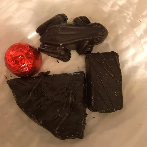 Vegan frog, bark, cherry  at Firetype Chocolate in Northampton