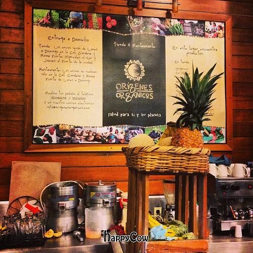 Origenes Organicos Restaurant in Condesa, Mexico City at Origenes Organicos - Hipodromo Condesa in Mexico City