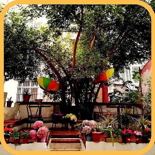 Our Lovely Garden at Vegisso in Istanbul