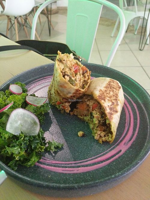 Burrito at Selva Blanca in Guadalajara