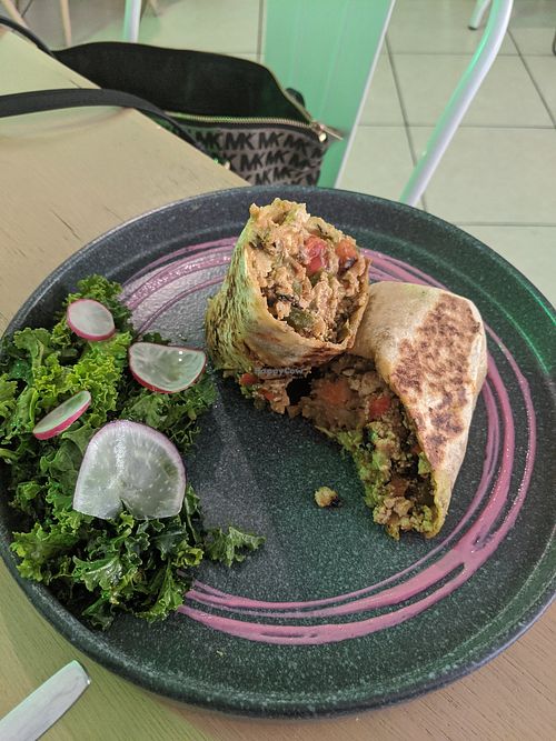 Burrrito at Selva Blanca in Guadalajara