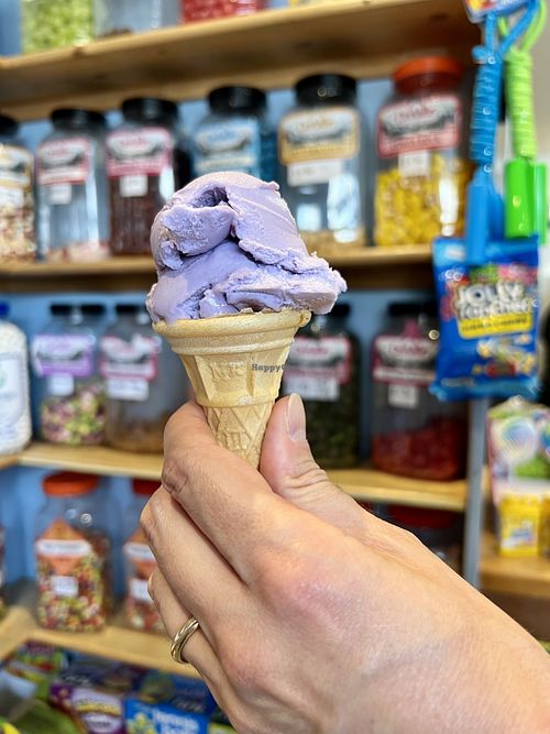 Blueberry sorbet   at The Ice Cream Shop in Cullen