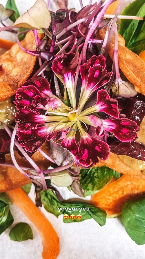 Vegan tacos 😍 at Cantina Teguise in Lanzarote