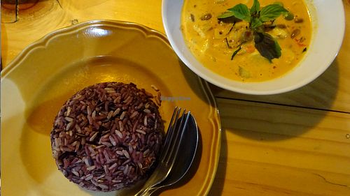 yellow curry and rice at Pun Pun Organic Vegetarian Restaurant - Wat Suan Dok in Chiang Mai