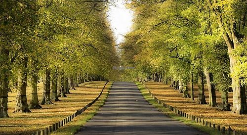 Foto at Veride in Madrid