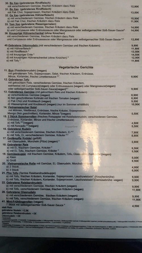 Veg menu at Da Lat in Leipzig