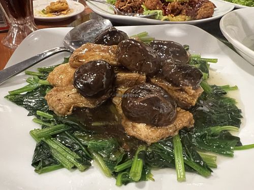 Spinach with braised beancurd 8/10  at New Fut Kai Vegetarian 新佛界素食 in Central Singapore