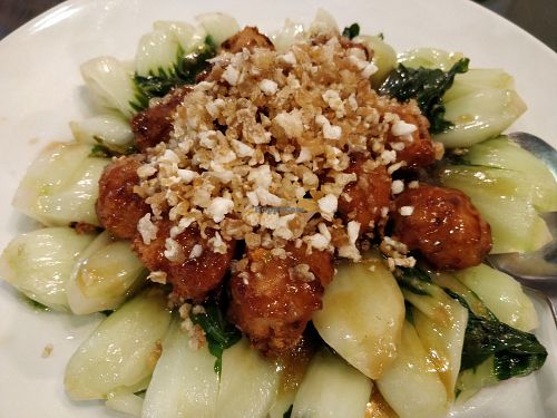 Home made toufu wanton at New Fut Kai Vegetarian 新佛界素食 in Central Singapore