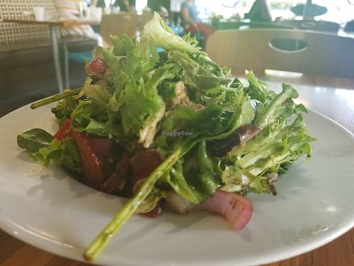 DIY Salad at Coolgreens - Downtown in Oklahoma City