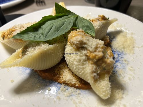 Pasta shells special with sun dried tomato filling and Parmesan   at Manna 68 in Gdansk