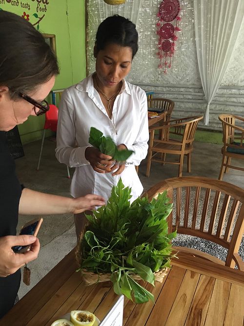 The owner teaching us about local medicinal herbs at Organica in Penida Island