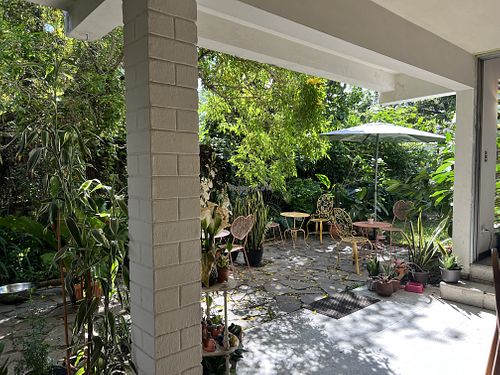  #Veganuary at Narcisa Vegan Bakery in San Salvador